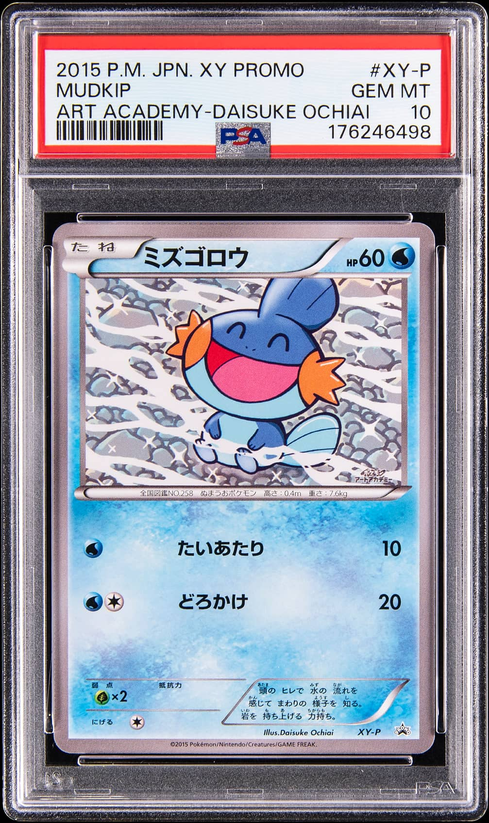 Goldin Pokémon Auction Tops $28M, Mudkip Hits $4.88M